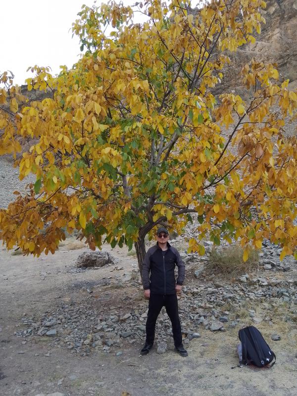 تصویر پروفایل امید