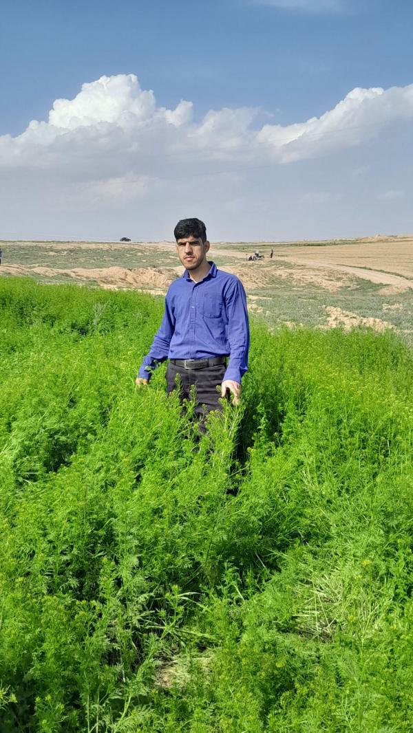 تصویر پروفایل امید