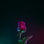 روش ثبت نام در همسریابی حافظون
